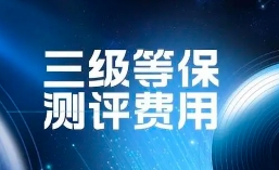 等保测评定级对象的展现形态有哪些？